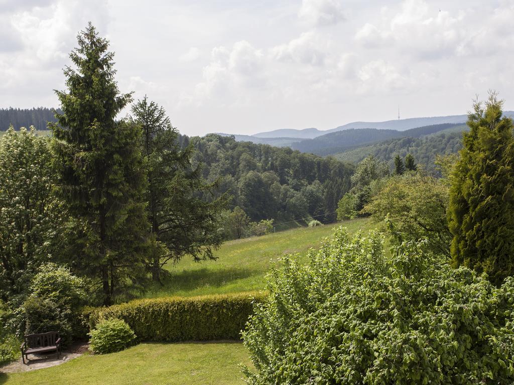 Pension Haus Brieden Winterberg Dış mekan fotoğraf